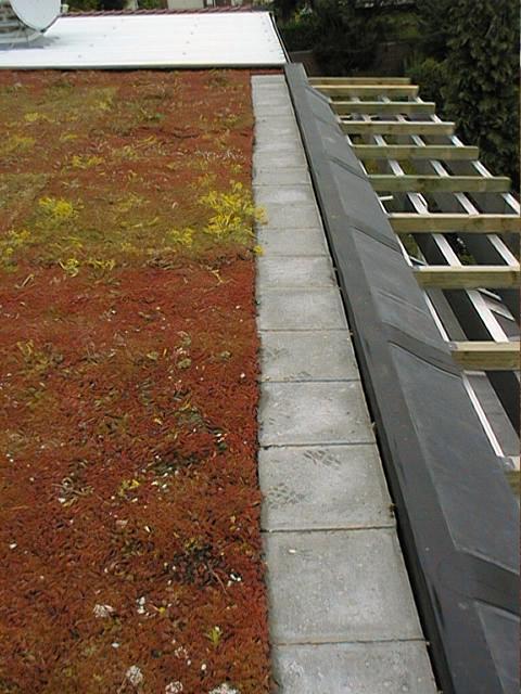 architecture bioclimatique couverture végétalisée